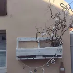 Neu! Haus Am Schifferstieg Semesterbostad